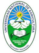 Sitio en Construcción